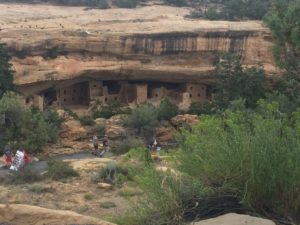 cliffside dwellings in Mesa Verde National Park